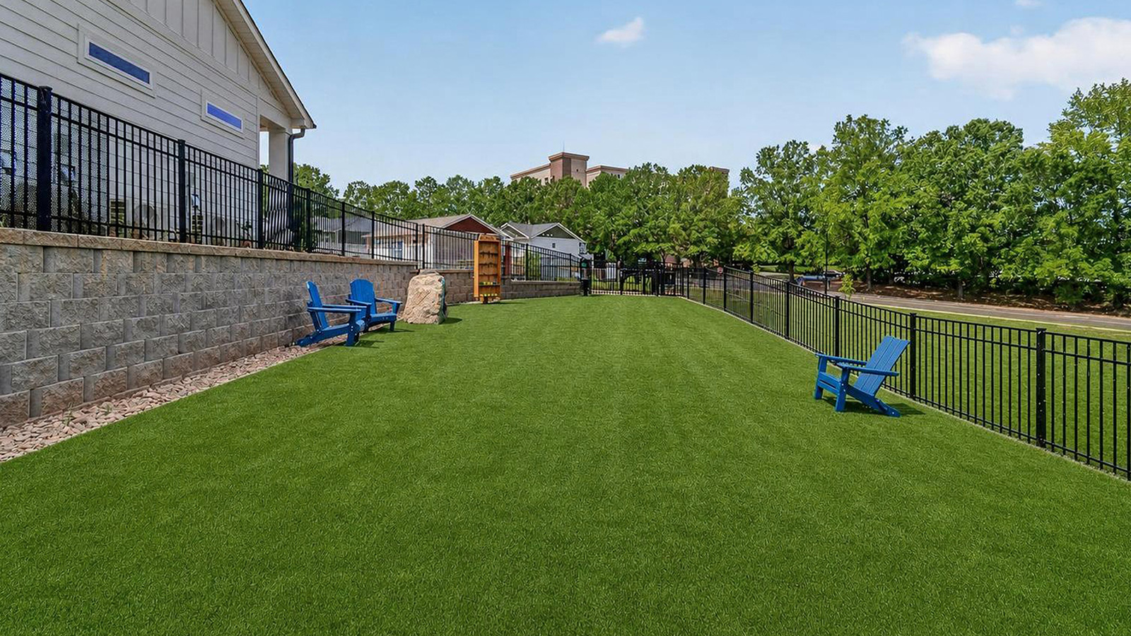 dog park